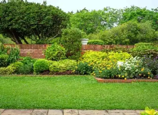 landscaping services Ridgely